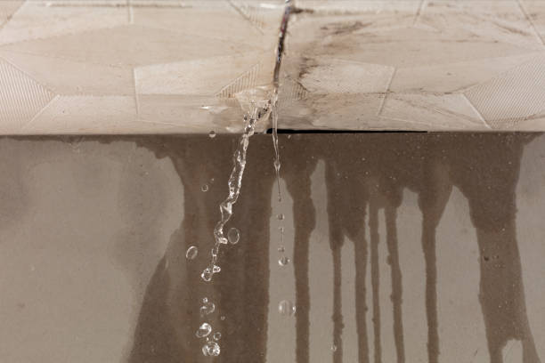 Professional Water Damage Repair technician working in Decatur, OH